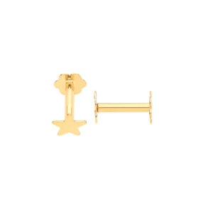 Star Screw Ear Cartilage Studs